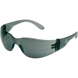 Oculos Proteção Esporte Cinza Anti -Risco Ss5 S.Safety