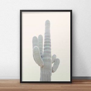 Quadro Decorativo Cactus 20X30Cm Preto